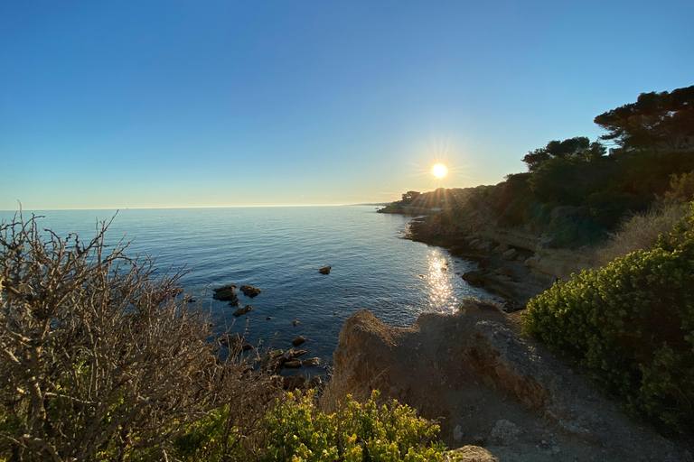 Día completo en Côte Bleue: Paseo panorámico por la naturaleza y tour en barco