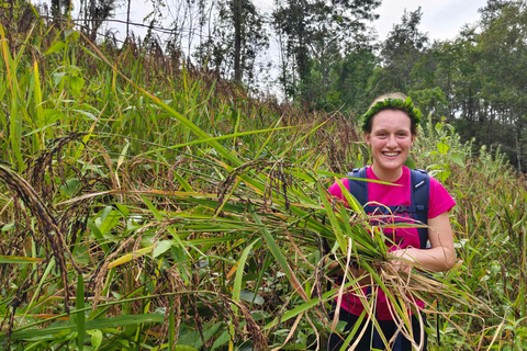 Chiang Mai: 2-Day Jungle Trek with Elephant Farm &amp; Raft Ride