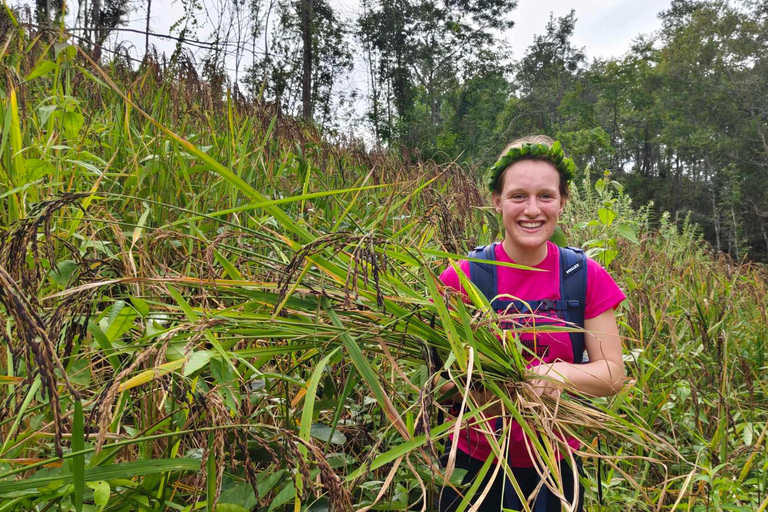 Chiang Mai: 2-Day Jungle Trek with Elephant Farm &amp; Raft Ride