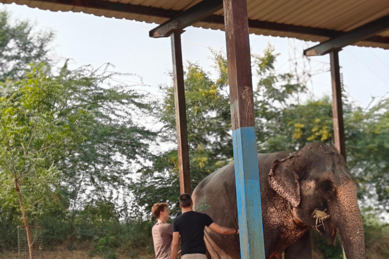 Jaipur: Full-Day Pink City Tour with Masala Tea Tour by Car and Driver with a Guide