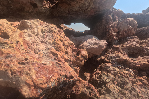 马斯喀特：在达亚马尼亚特群岛与海龟一起浮潜和皮划艇半日团体浮潜和皮划艇之旅，与海龟同行