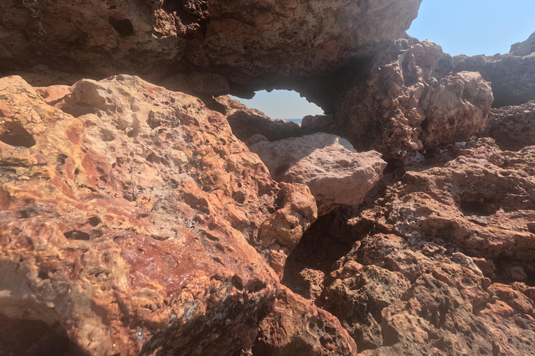 马斯喀特：在达亚马尼亚特群岛与海龟一起浮潜和皮划艇半日团体浮潜和皮划艇之旅，与海龟同行