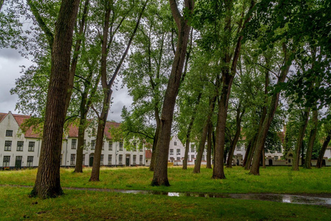 De Paris: Bruges e Ghent - Excursão particular de um dia em Flandres