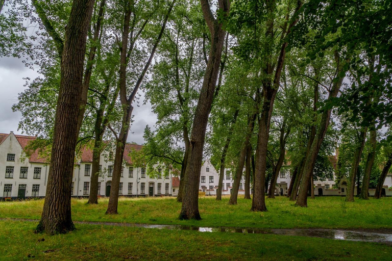 Desde París: Brujas y Gante Excursión Privada de un Día en Flandes