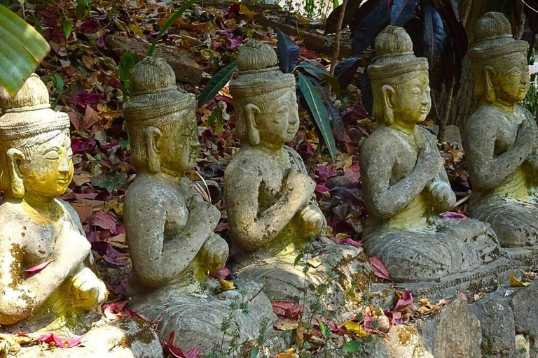 Passeio noturno ao Doi Suthep e ao Templo Wat Pha Lat