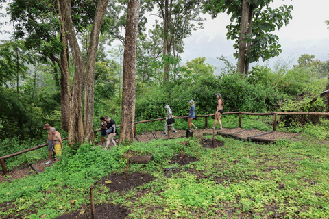 Chiang Mai: Sticky Waterfalls, Cave, and Lunch at Village Join-in With Lunch