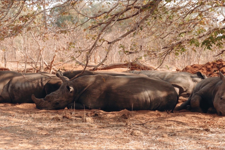 Zambezi-Wildwasser-Rafting &amp; White Rhino Walking Safari Combo