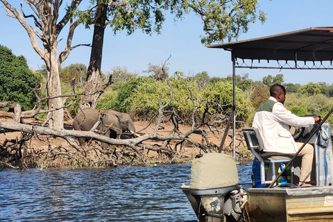 Chobe Express River Safari + Pickup