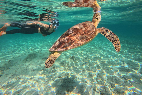 Gili Trawangan: Private Turtle Snorkeling Tour with GoPro 2-Hours Private Snorkeling Tour Turtle & Gopro