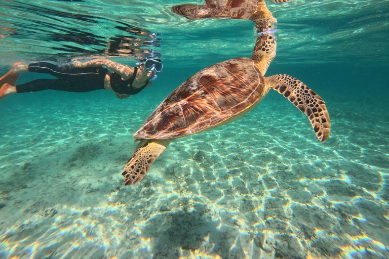 Gili Trawangan: Private Turtle Snorkeling Tour with GoPro 2-Hours Private Snorkeling Tour Turtle & Gopro