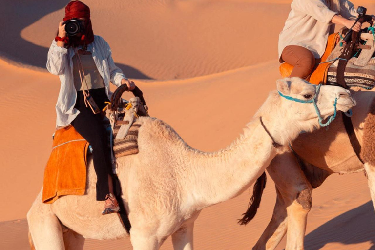Djerba &Zarzis: Sahara Ksar Ghilane, Matmata & Sidi idriss