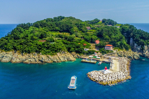 Oedo Island Botania & Geoje Private Day Tour from Busan