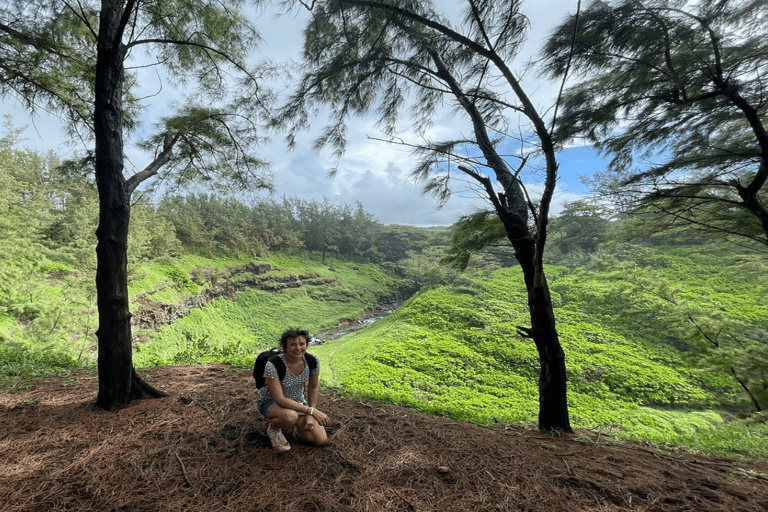 Mauritius: Tour privato delle Mauritius meridionali con le tartarughe