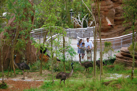 Singapore: Bird Paradise Entry Ticket with Hotel Transfer