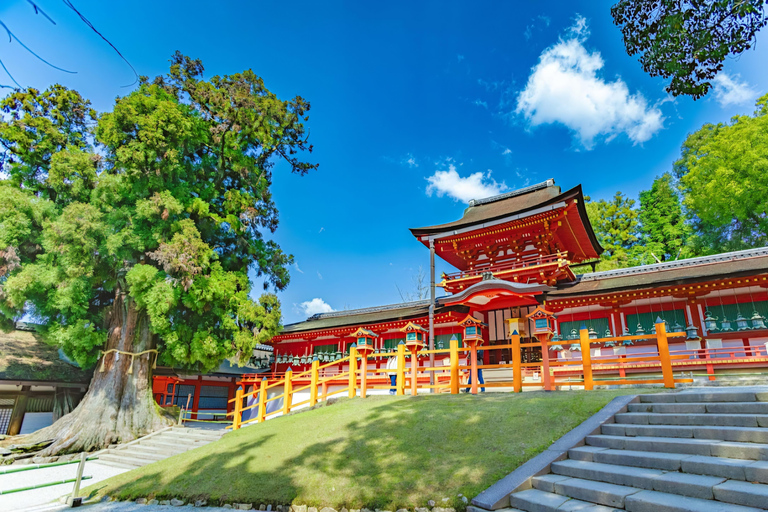 Nara: Private Car Tour of Hidden Gems & Ancient Icons