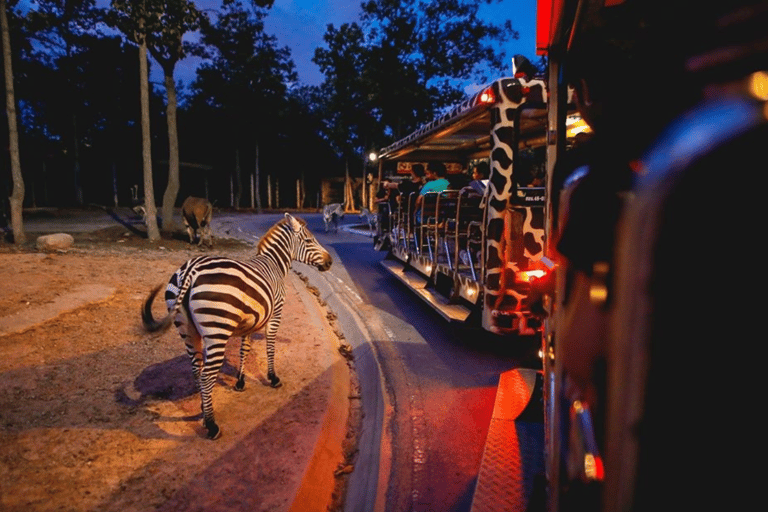 Chiang Mai: Ticket für die Nachtsafari mit HoteltransferChiang Mai: Ticket für die Nachtsafari mit Transfer vom Hotel