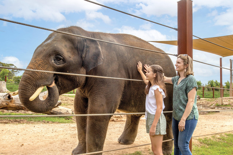 Sydney: Sydney Zoo Admission Ticket