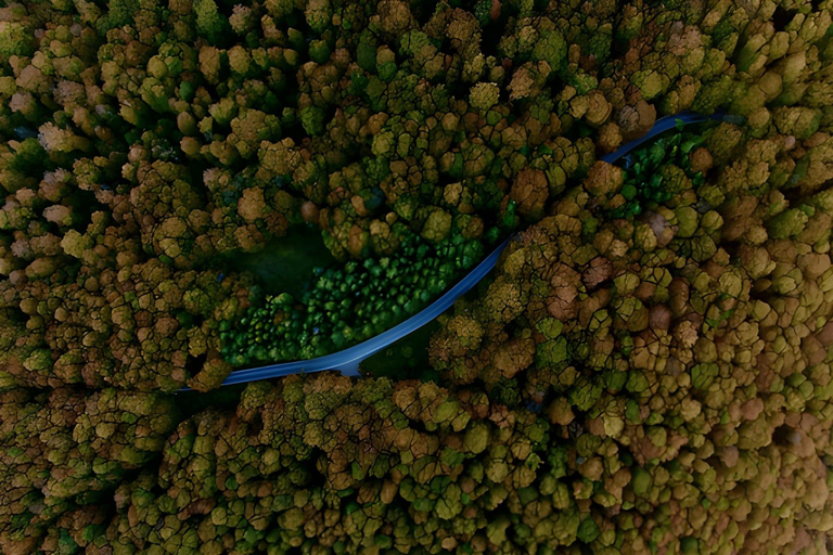 Tbilisi: Sabaduri Forest Siono Lake and Jvari Monastery