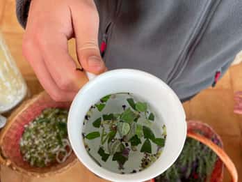 Près de Cagliari : Herbes sauvages et guérison à "In Our Garden" (Dans notre jardin)