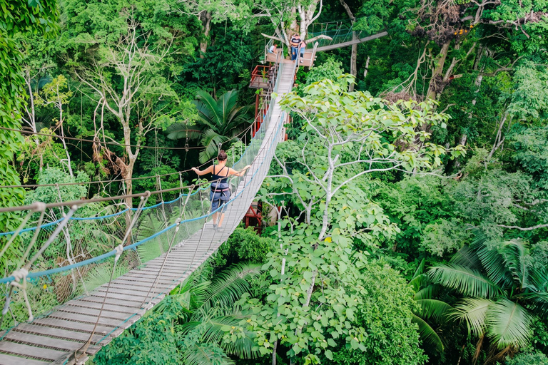 From Puerto Maldonado: Monkey Island, Kayak & Zipline