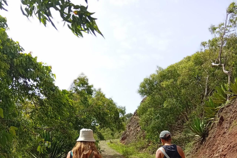Serra Malagueta : Hike Natural Park with Kapok Tree Visit Private Tour