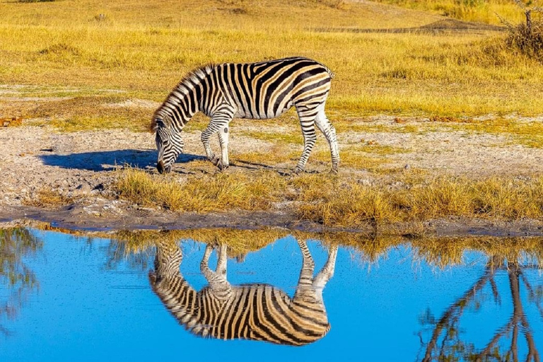 Arusha National Park Tagestour