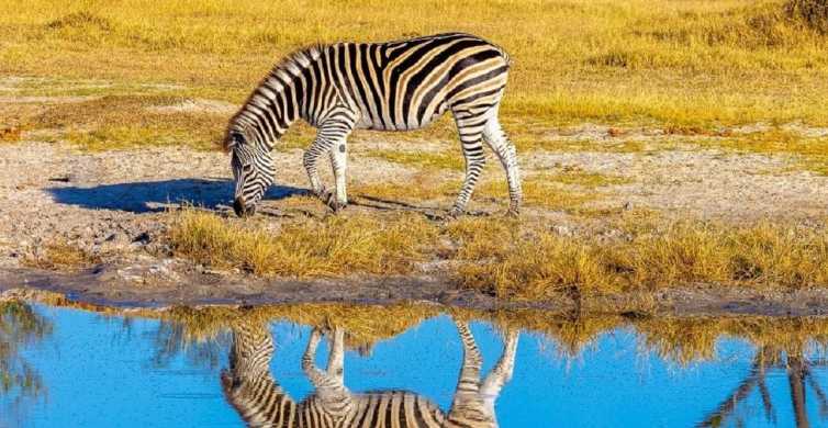 Natural Ways to Make Your Car Shine, The Zebra