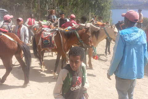 from Addis Ababa, wonchi Lake Suba Hills & Hot Springs