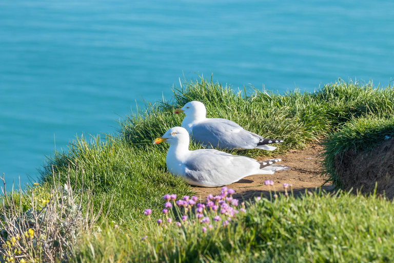 Étretat Cliffs & Rouen Christmas Magic – Exclusive Day Tour Comfort Sedan ( 1-3 Guests)