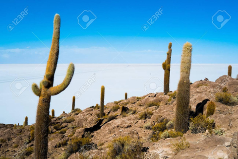 Ontdek de zoutvlakte van Uyuni 2D/1N