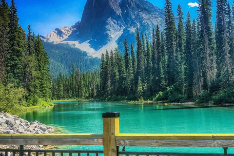 Emerald Lake, Lake Louise, Johnston Canyon & Banff Town Tour