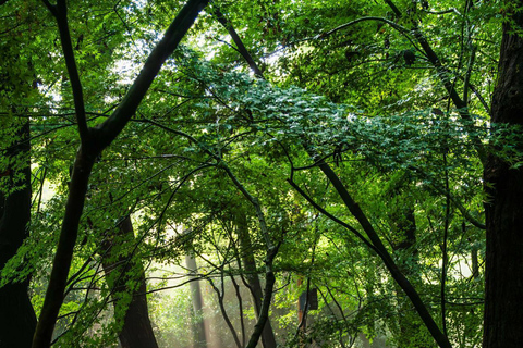 Hangzhou Private Custom Tour with Guide Package C: Xixi Wetland & Grand Canal Walk