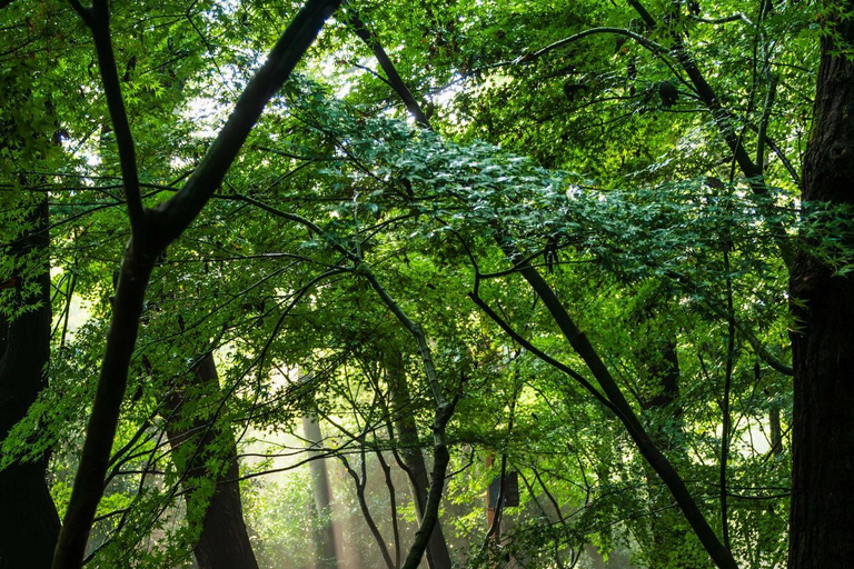 Hangzhou Private Custom Tour with Guide Package C: Xixi Wetland & Grand Canal Walk