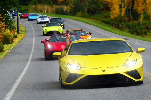 Hamilton Mountain: 3 Hour Exotic Car Tour with 5 Supercars