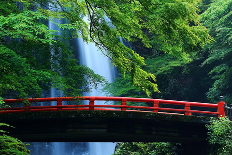 [From Osaka] Kyoto 1-Day Tour Miyama, Katsuo-ji & Arashiyama Osaka Round-trip