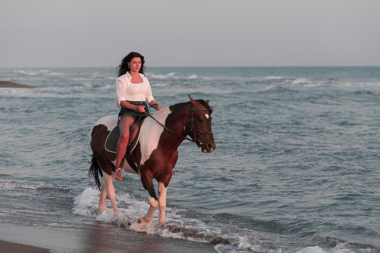Essaouira: 1.5-Hour Horse Ride & Swim Experience with Photos
