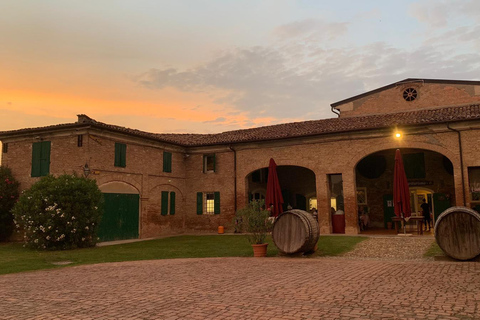 Modena: Visit and Tasting at an Antique Vinegar Cellar Modena: Guided tour of the Antica Acetaia with vinegar tasting