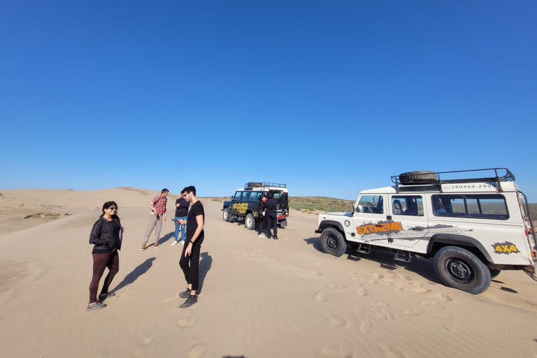 PUERTO MADRYN: PRZEŻYJ PRZYGODĘ 4 X 4 NA NAJPIĘKNIEJSZYCH PLAŻACH!