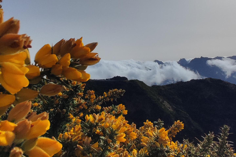 Full-Day Madeira Mistery Tour 4x4 - Private