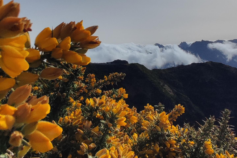 Excursión de un día al Misterio de Madeira en 4x4 - Privado