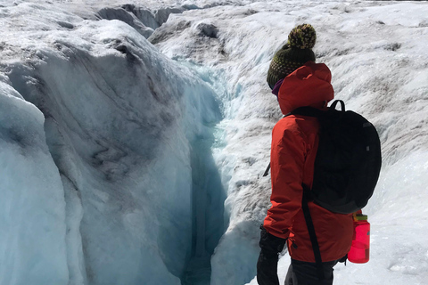 Columbia Icefield: Guided Glacier Hike