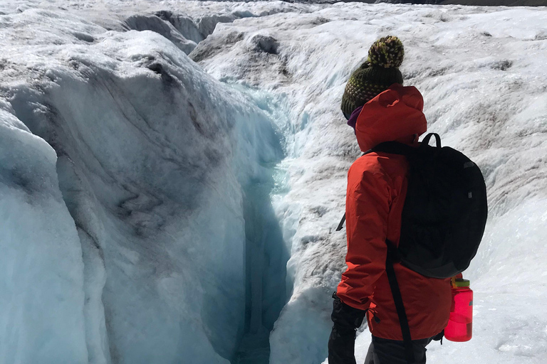 Columbia Icefield: Guided Glacier Hike