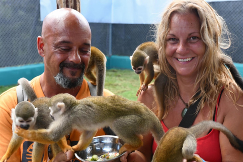 Puerto Plata: Monkey Home Sanctuary Tour with Pickup