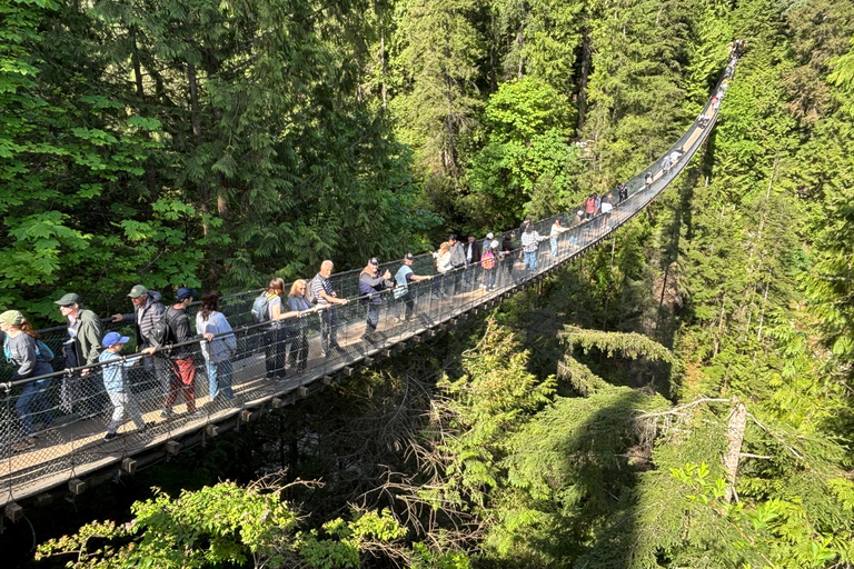 Vancouver: Capilano Bridge & Grouse Mountain All Inclusive