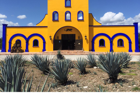 Playa del Carmen: wycieczka na zakupy, degustacja i wizyta na 5. alei