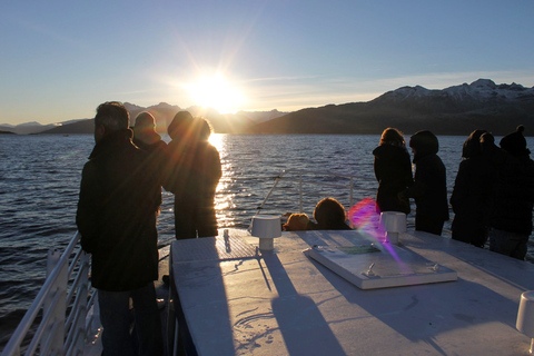 Tromsø : Croisière dans le fjord pour observer la faune et la flore, avec déjeuner et boissonsTromsø : fjord, oiseaux sauvages, déjeuner, boissons