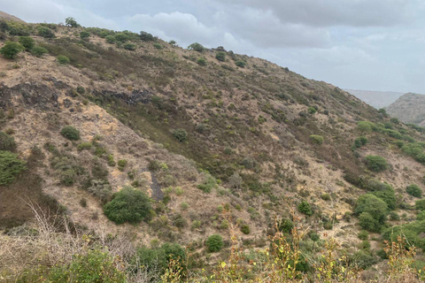 A Day in the Countryside: Immersion in Family Life in Ribeirão de Kal – All Inclusive A Day in the Countryside: Family Life Immersion in Ribeirão de Kal – All Inclusive
