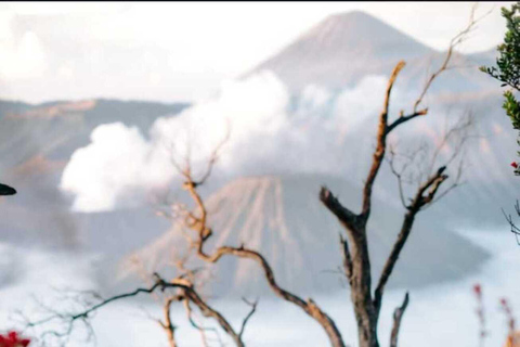 Surabaya or Malang: Tumpak Sewu,Bromo&Ijen 3day2night Surabaya or Malang: Tumpak Sewu,Bromo&Ijen share group 3D2N