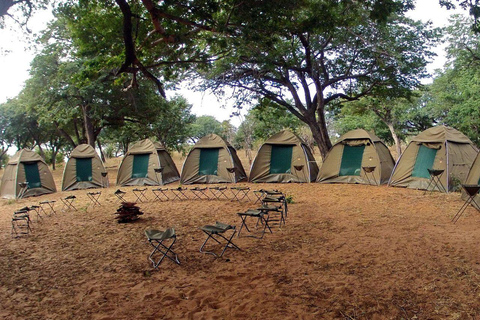 7-Day Mobile Camping Safari in Chobe &amp; MoremiPrivate Tour in English