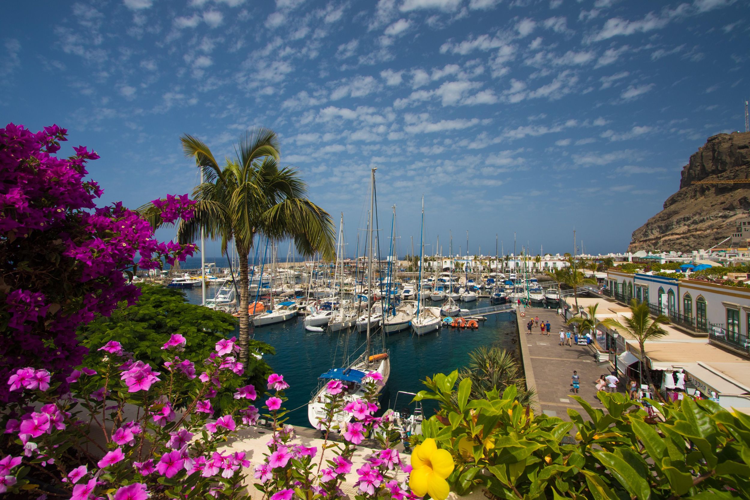 Puerto de Mogán: Halbtägiger Besuch des Freitagsmarktes und Shopping-Erlebnis